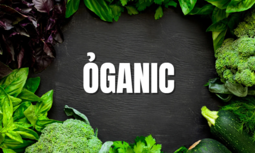 Celebrating  Oganic  Choices: Your Essential Guide to Organic Food