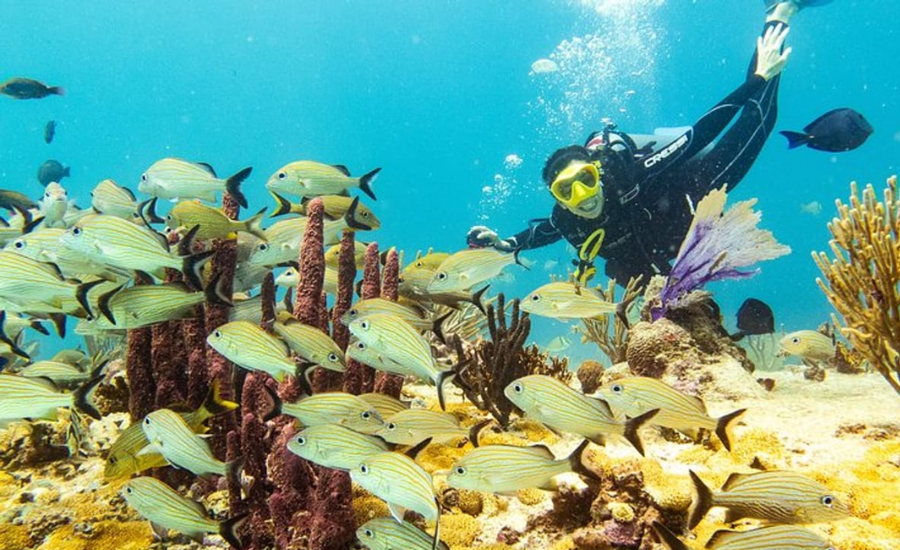 go scuba diving in nauru